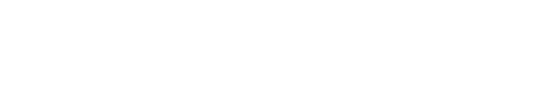 Logo Histovery